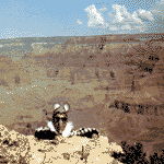 Hyperhero climbs out of the Grand Canyon