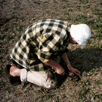 A man taking part at agricultural work